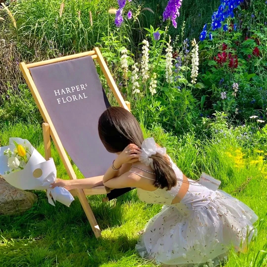 归来之八月十五月儿圆